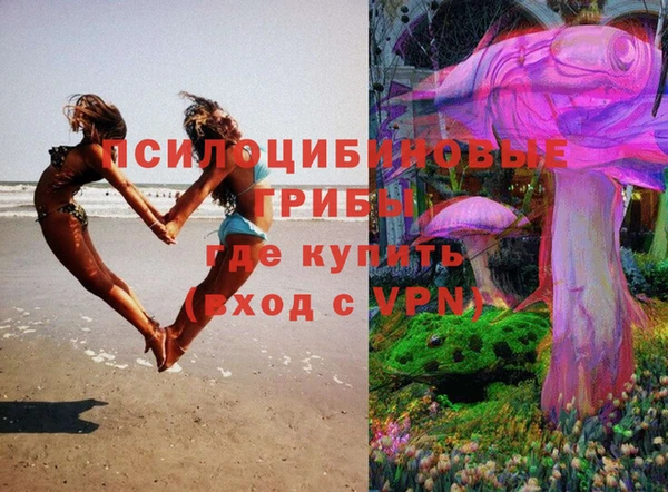 jwh Алзамай
