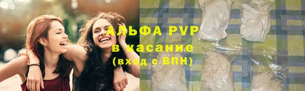 ешки Алексин