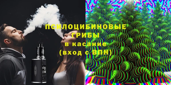 ешки Алексин