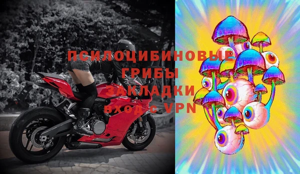 ешки Алексин