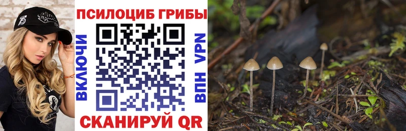 где можно купить   Мыски  Галлюциногенные грибы Magic Shrooms 