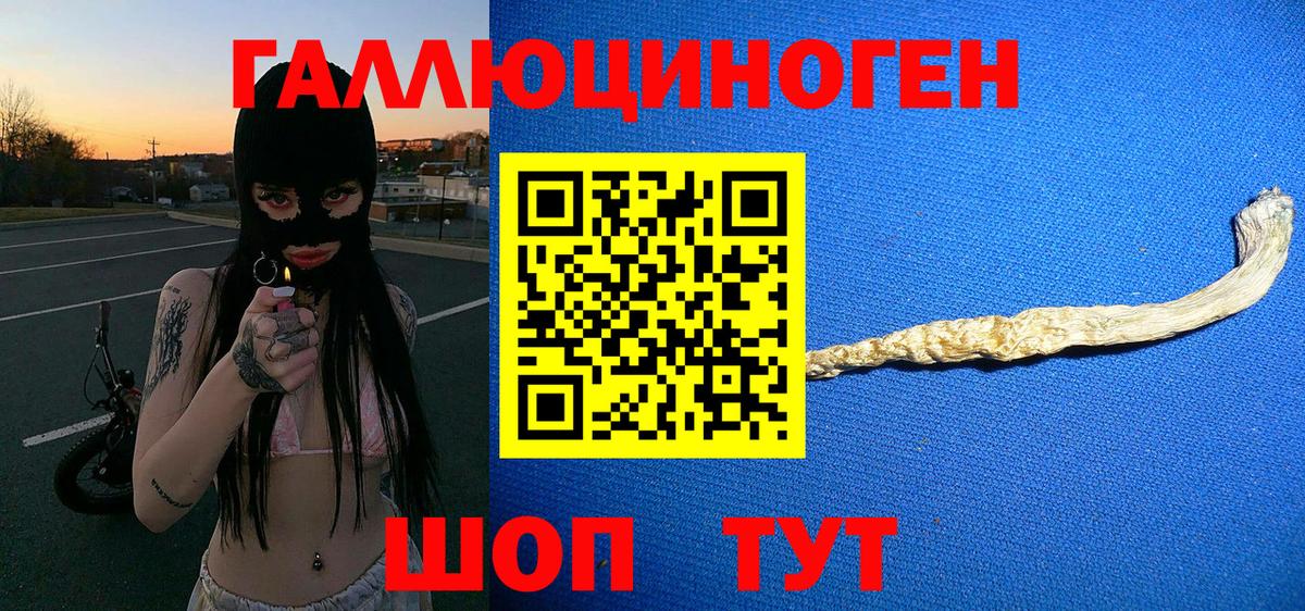 Галлюциногенные грибы ЛСД  Вход с VPN  Галлюциногенные грибы GOLDEN TEACHER  Мыски 